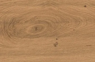 Керамограніт Atlas Concorde Log Amber Oak Matte 20×120 — фото 2