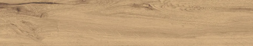 Керамограніт Fanal Vera Oak Slim 22×120 — фото 2
