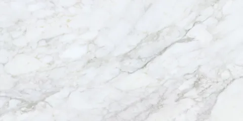 Керамограніт Argenta Bellini Salvia Pol 60×120