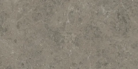 Керамограніт Atlas Concorde Marvel Meraviglia Grigio Elegante Velvet 60×120