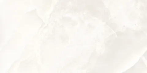Керамограніт Fanal Onix Blanco 60×120