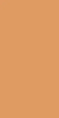 Керамограніт Rako Color Two L.Orange Matt, RAL 0607050 10×20